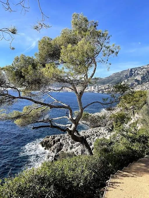 Apartment Jolie Appartement De Bord De La Mer Cote D'Azur Roquebrune-Cap-Martin